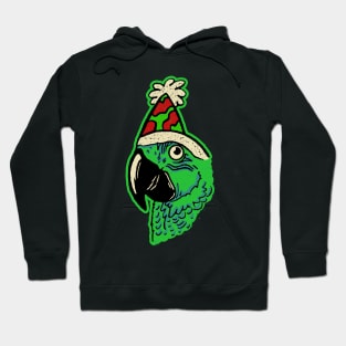 Party Time Parrot Hoodie